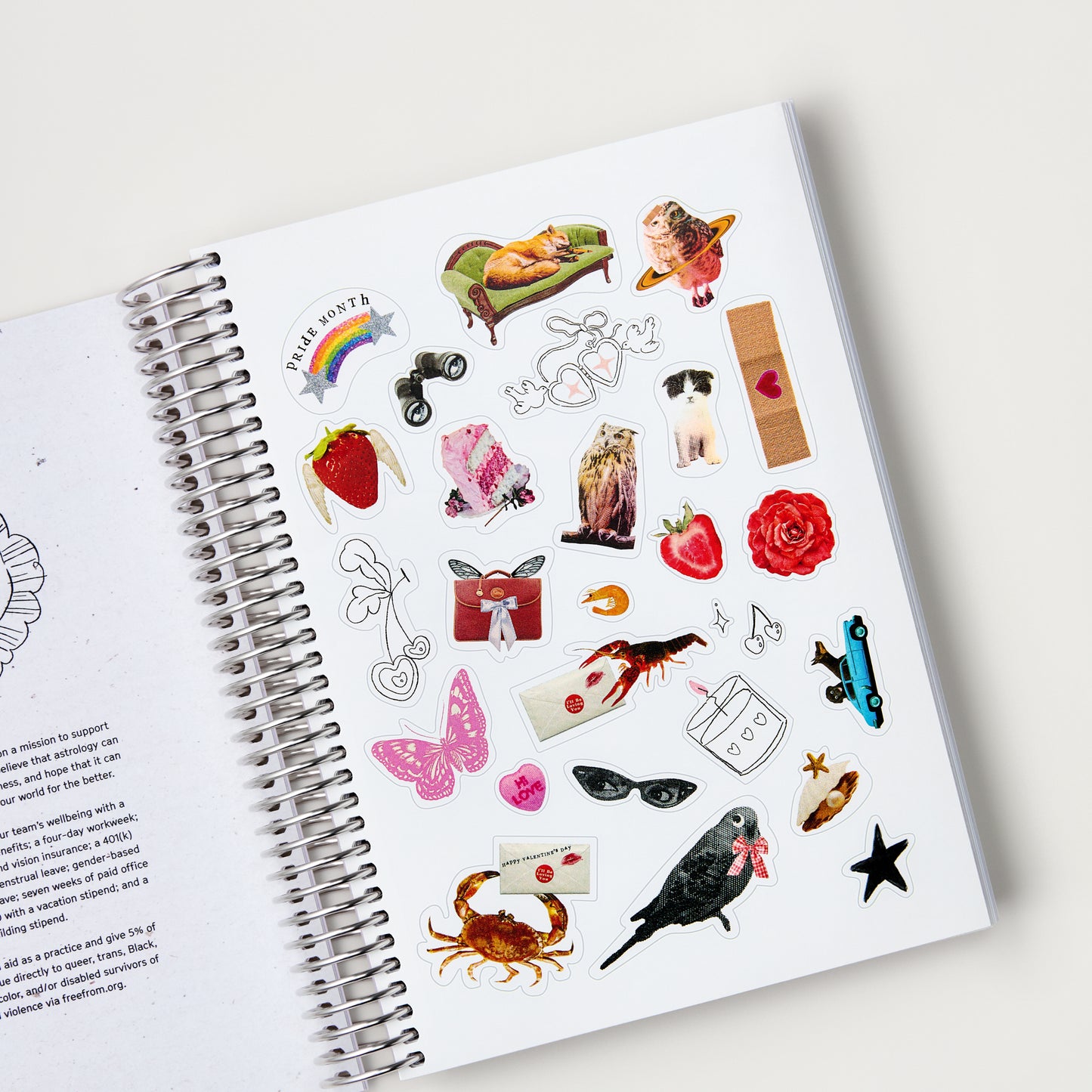 Pre-Order: The 2026 Astro Planner