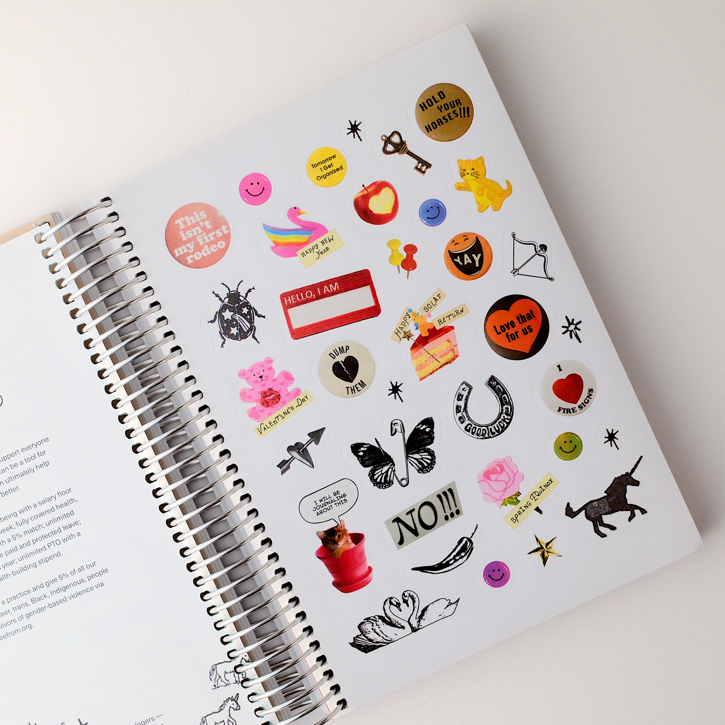 The 2027 Astro Planner