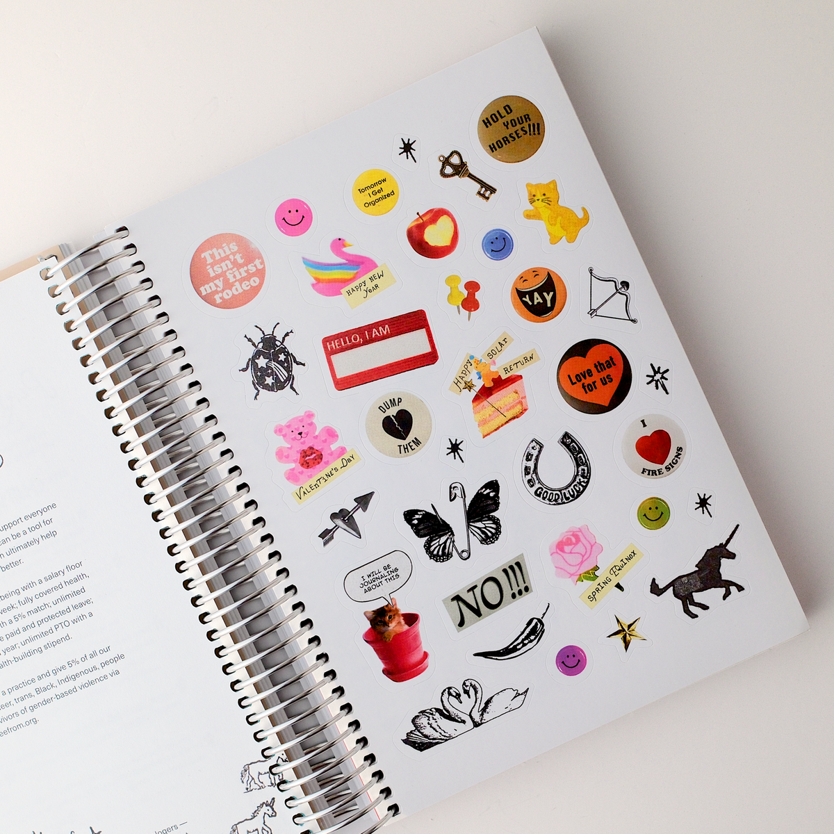The 2027 Astro Planner