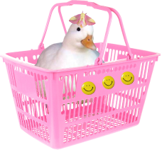 A pink grocery basket with yellow smiley faces on it, holding a handsome white duck with a pink moth on his head.