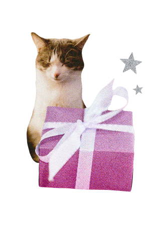 Shop gifted, get Gifted