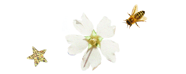 Mother’s Day Gifts