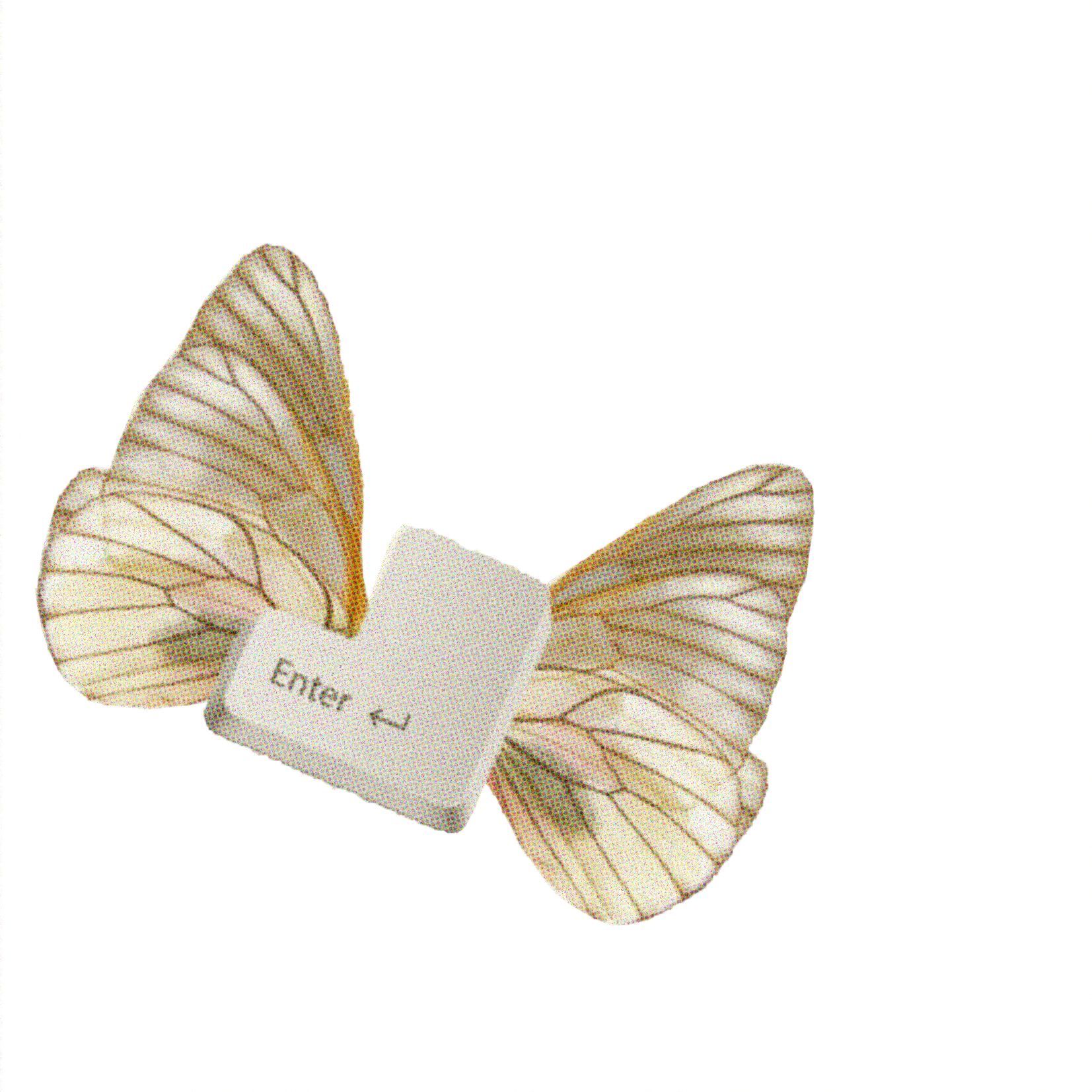 An 