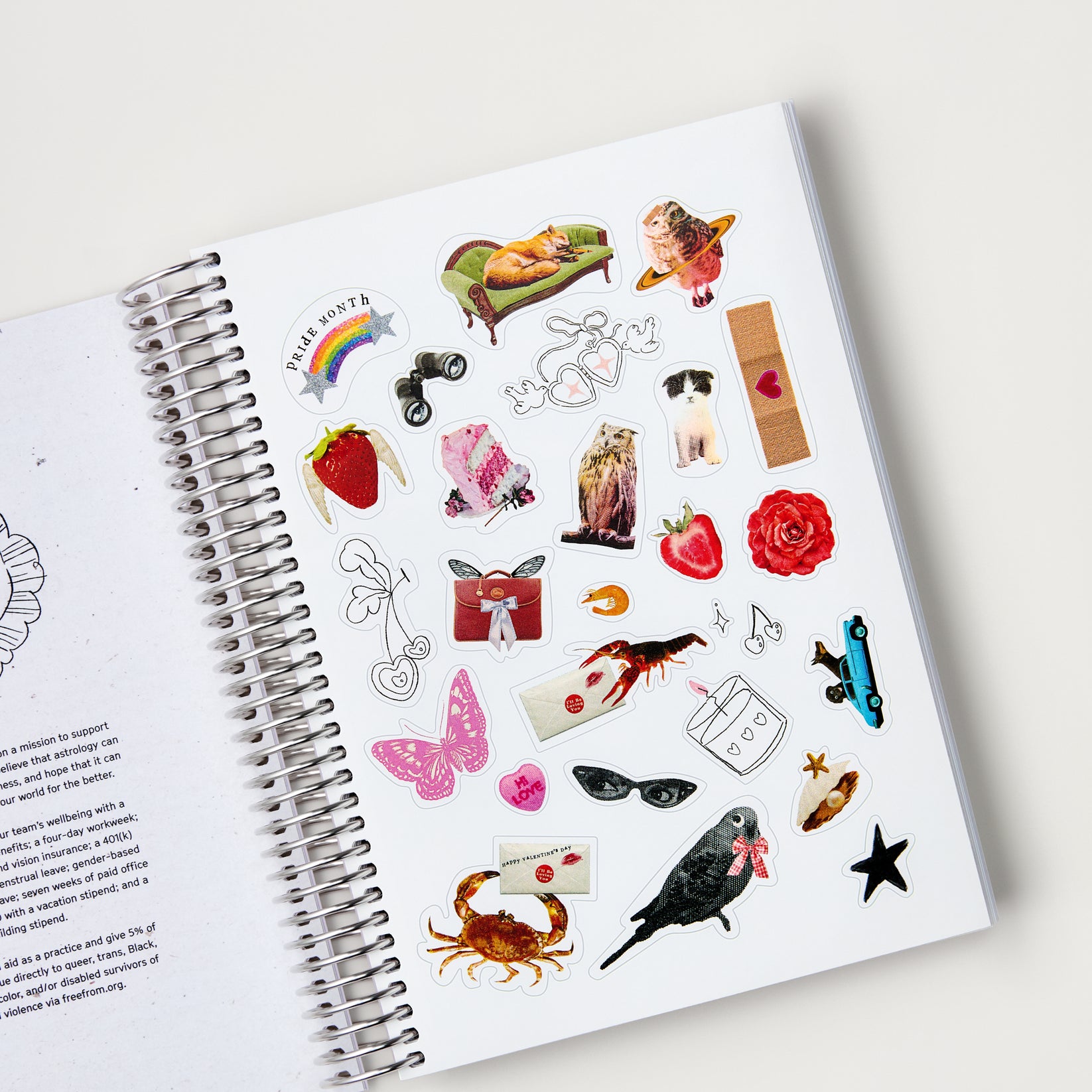 CHANI 2026 Astro Planner An astrology & mindfulness planner with