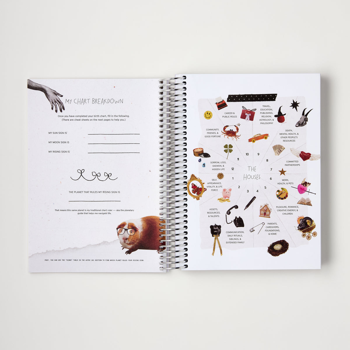 CHANI 2026 Astro Planner An astrology & mindfulness planner with