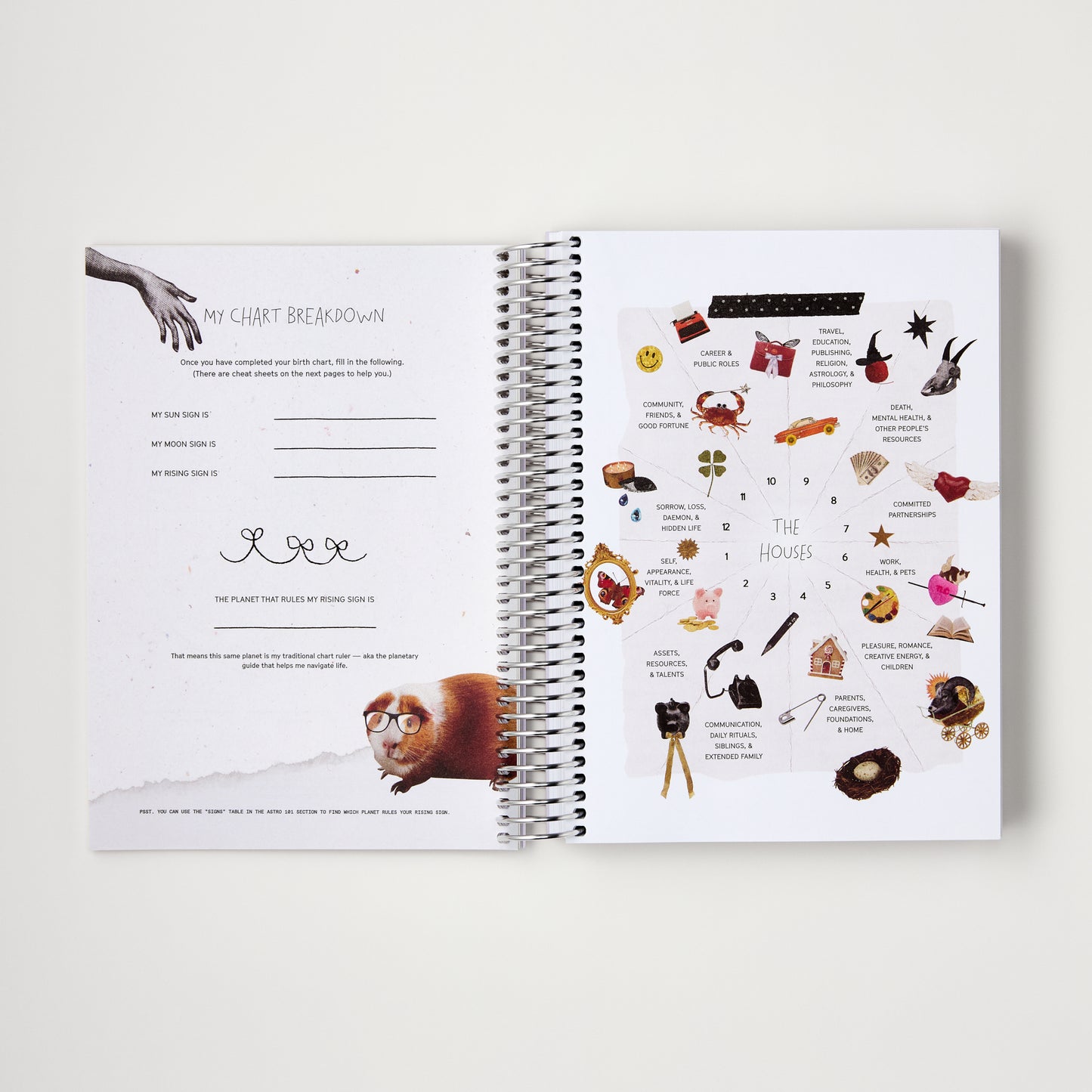 The 2026 Astro Planner