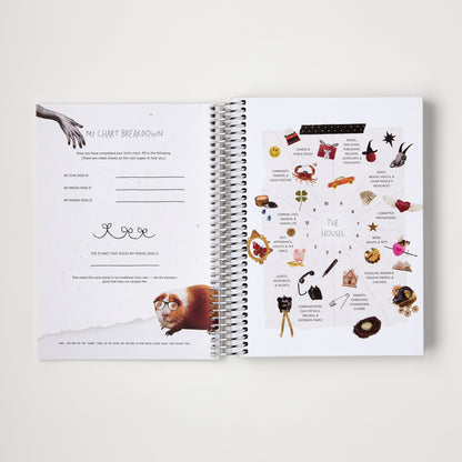The 2026 Astro Planner