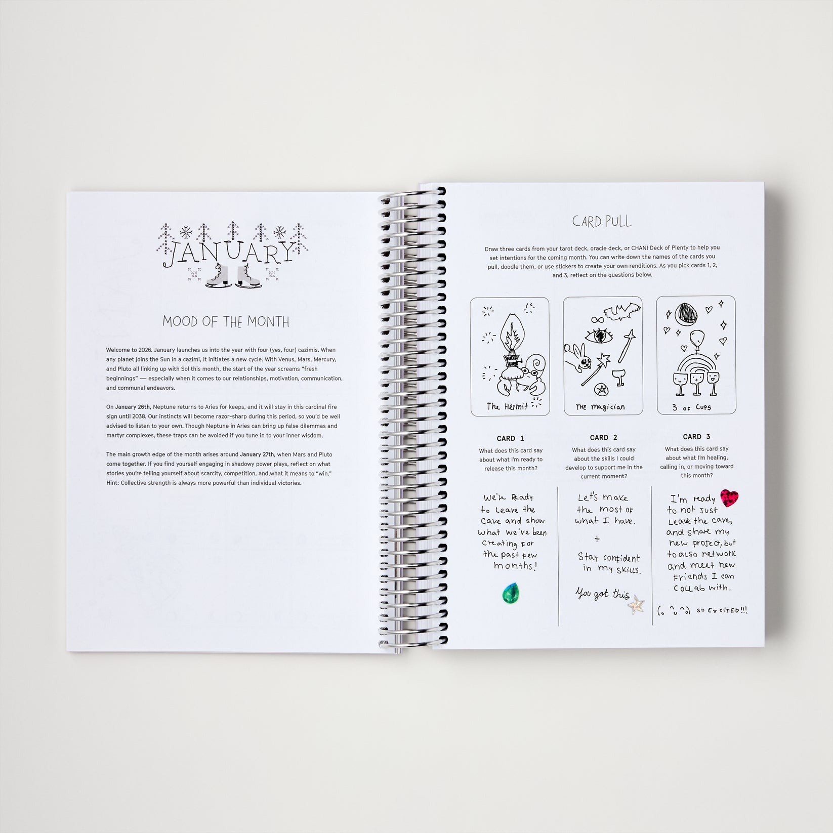 CHANI 2026 Astro Planner An astrology & mindfulness planner with