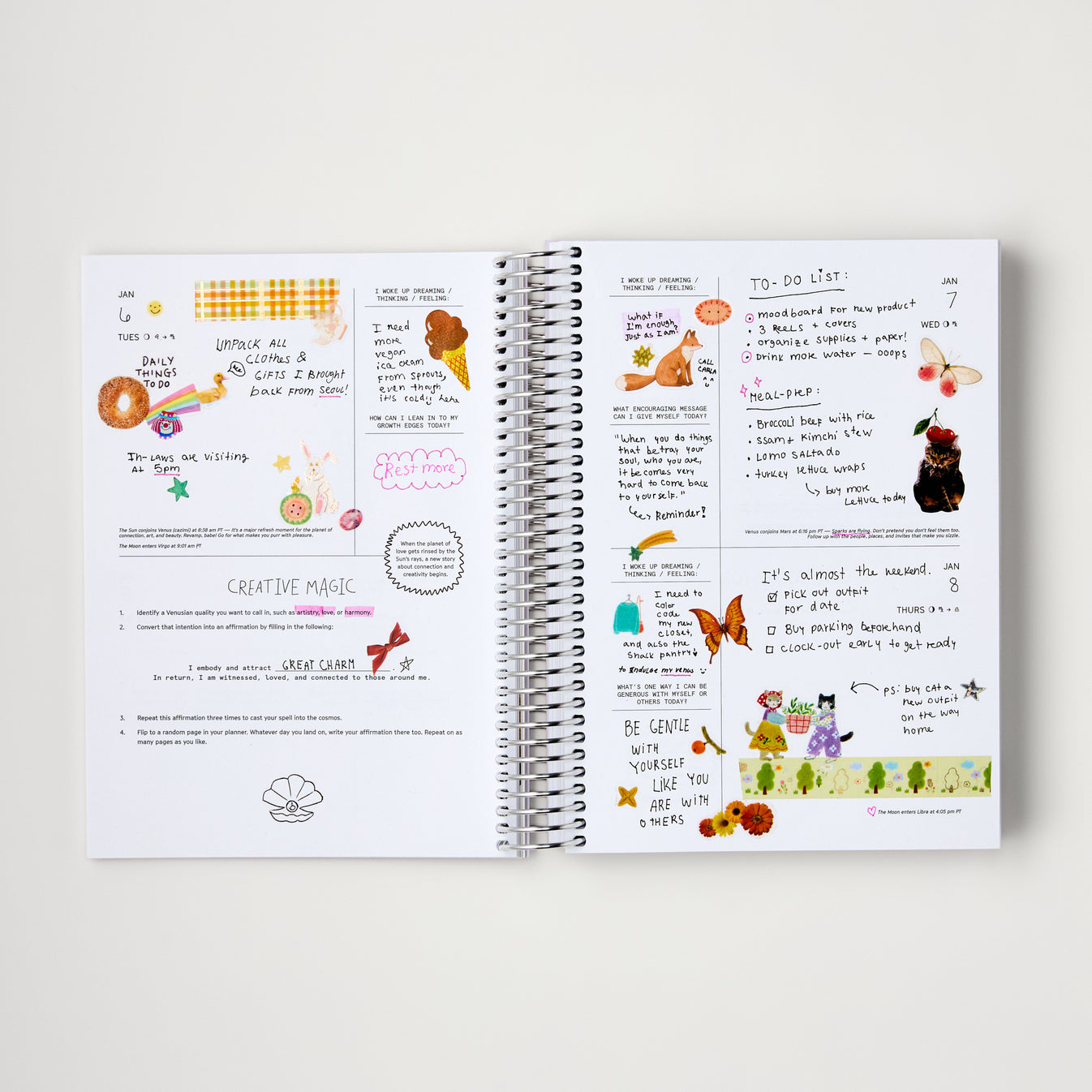 CHANI 2026 Astro Planner An astrology & mindfulness planner with
