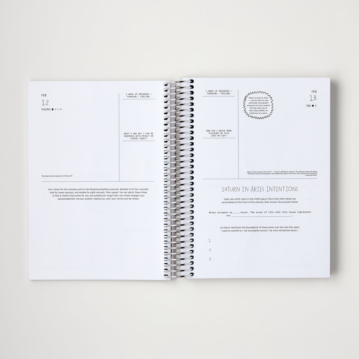 CHANI 2026 Astro Planner An astrology & mindfulness planner with
